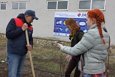 Tree planting