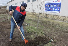 Tree planting