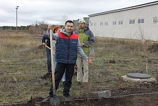 Tree planting