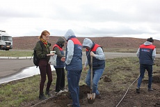 Tree planting