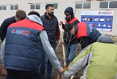 Tree planting