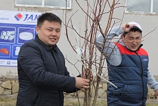 Tree planting