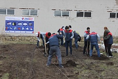 Tree planting