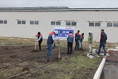 Tree planting