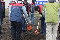 Tree planting